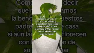 mandaselo a tus hijos #fypシ #parati #reflexionesdeldia #reels #shorts #bendiciones