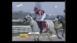 Local Purebred Arabian Maiden Plate
