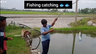 Fish 🐟 catching tamil well #well #fishing #fishingvideo