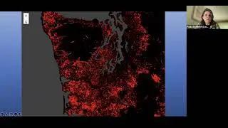 The Co-evolving Story and Stewardship of Northwest Forests