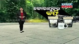 Special News: Tata Label On Odisha Coffee, Buys 32 Metric Tonnes