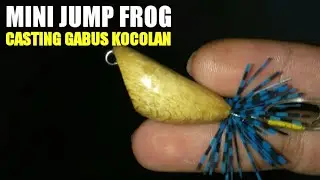 Casting Gabus/Haruan With Mini Jump Frog