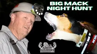 Running Coonhounds with Jimmy Ridgeway & His Walker Hound Big Mack | Stark Outdoors