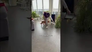 Admittedly, that's not the easiest trick 🙃