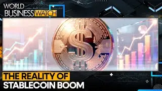Most Stable coin Transactions Don&rsquo;t Reflect Real Payments |World Business Watch