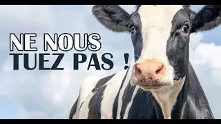 La mort silencieuse des paysans fran&ccedil;ais.