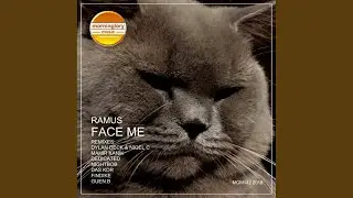 Face Me (Nightbob Remix)