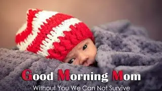 Good Morning😊#goodmorning #morning #motivation #positivevibes #trending #quotes #affirmations #life