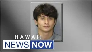 Man accused in Mililani acid attack granted transfer to Federal Detention Center