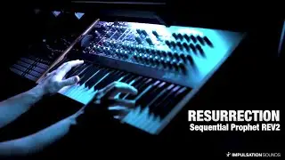 Sequential Prophet REV2 - Resurrection - Sound Bank containing 139 sounds! Bonus Sounds Added!