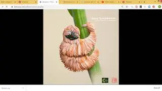 Pinterest Board pinning from Behance