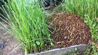 VETIVER TECHNOLOGY SOLUTIONS COM ongoing research and Development powering true sustainability