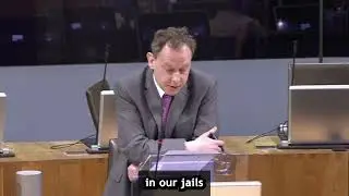 Stating number of foreign nationals in prison 