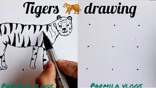 How to draw Tiger from 8 Dots step by step Easy | Easy Tiger Drawing | Dots Drawing