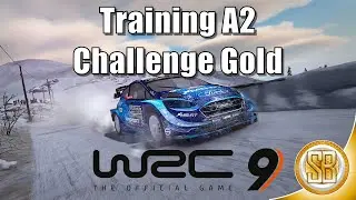 WRC 9 Training A2 Challenge Gold / Test Area Gold (WRC9 Training A2 Challenge Gold)