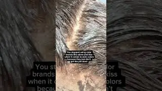 Dark roots & Ash Blonde 🤍| Full Video on my Channel! #wiginstall #hairtips #quickandeasy