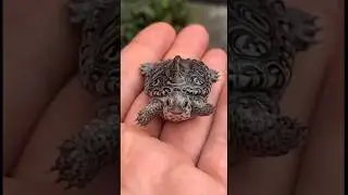 From Small to Giant Animals 🐾 | Amazing Animal Size Comparison | Viral &rdquo; #animalsize #babyanimals
