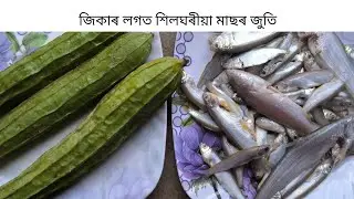 HILGHORIA MASOR LOGOT JIKA JUTI |  JIKA FISH RECIPE| ASSAMESE THOLUA STYLE |
