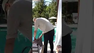 Poolside Essentials - Dad Edition!