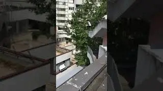 Cleanest manpower jump?
