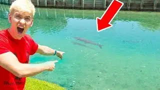FEEDING MONSTER IN POND!!
