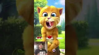 Talking Ginger 2 🌶️🍒🍎 // talking ginger cat //talking ginger funny videos / 