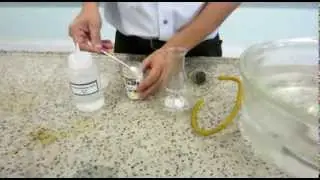 Displacement of water method to collect gas