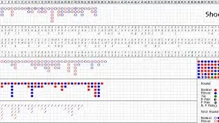 Baccarat Simulator (1) - Random Shoes (1) 百家乐模拟器,百家乐记录表 바카라 출목(6매,중국점) (1) - 랜덤 슈 (1)