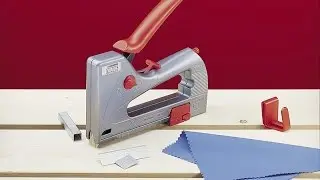 Novus
