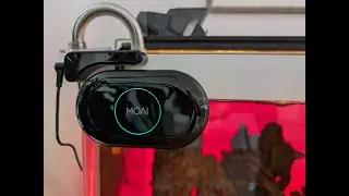 MOAI aquarium cleaner robot - onboard camera on cruise function