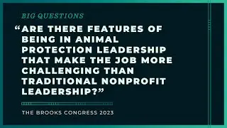 Animal Protection Leadership vs. Traditional Nonprofit Leadership