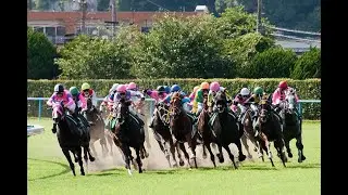 【競馬】フェアリーSとか　みんなで見よう