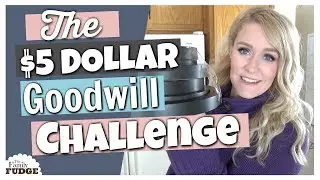5 Dollar Goodwill CHALLENGE || Home Decor on a Budget