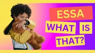 Emotional Support Stuffed Animal