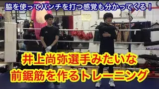 井上尚弥選手のような前鋸筋を作るトレーニング （脇を使ってパンチを打つ感覚が分かってくる）