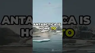 Antarctica Travel History Business Tech #shorts #travel #short #news #trending #shortvideo #viral