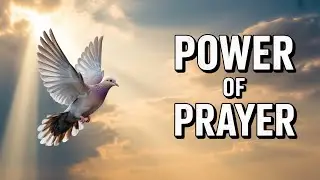 Powerful Prayer for Peace | Catholic Prayers When You Feel Alone