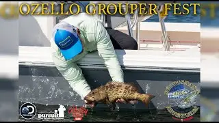 Sportsman's Adventures 2023 Episode 19 &ndash; Ozello Grouper Fest