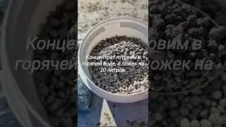 Готовим раствор для укоренения кустов.