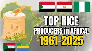 Top Rice Producing Countries in Africa (1961&ndash;2025) 🍚 | The Largest Rice Producers in Africa
