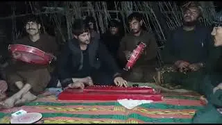 سلام شاولی واستاد واوا