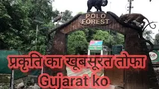 Polo Forest - Prakruti ka Khubsurat Tofha Gujarat Ko