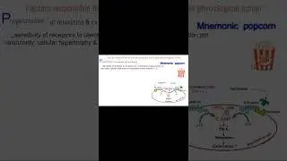 parturition phases factors responsible for  quiescence phase normal labor mnemonic
