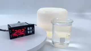Incubation breeding ewelly temperature humidity controller reptile temperature Nở g&agrave;