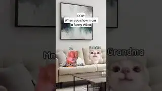 showing mom a funny video be like 😭😭 #cat #funny #memes #story #storytime #relatable