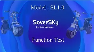 SoverSky 2000w Fat Tire Electric Moped Scooter Ebike SL1 0