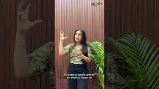 Solar Panels Explained #bhilai #chhattisgarh #solartips #solarpanel #rejoysolar #rejoy