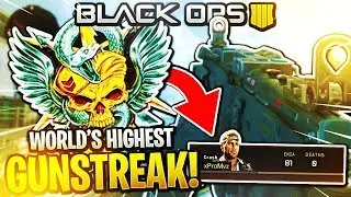 BLACK OPS 4 - WORLDS HIGHEST GUNSTREAK IN CALL OF DUTY BLACK OPS 4! (FLAWLESS GUNSTREAK)