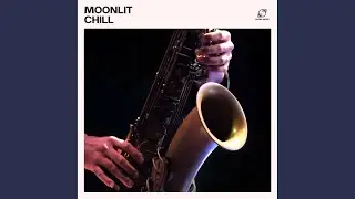 Quiet in Motion
