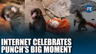 VIRAL Punch: Abandoned Baby Macaque &lsquo;Punch&rsquo; Melts Hearts After Cuddling Orangutan Toy At Japan Zoo